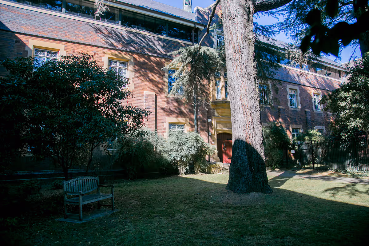 Sunlit courtyard with large tree, garden bench, and brick building with multiple windows in the background.