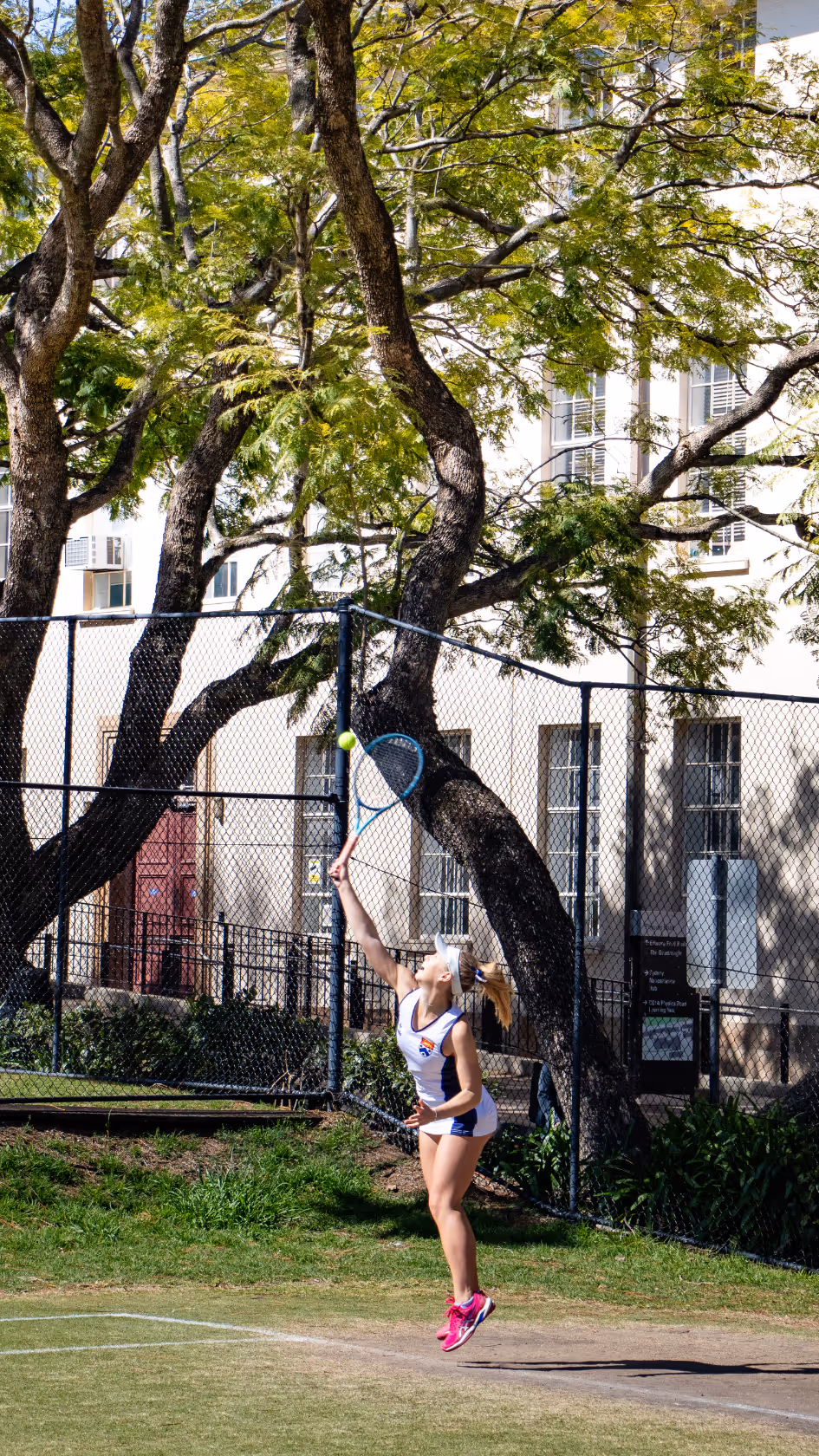 Female tennis player in white and blue outfit jumping to hit a ball with a racket on an outdoor court near large trees.