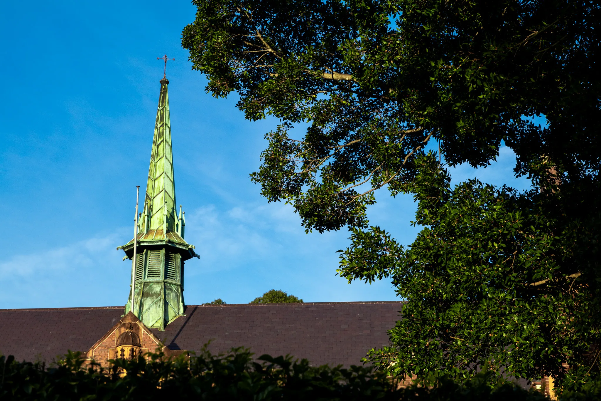 Green-tinted church steeple with a weather vane against a clear blue sky, partially framed by leafy tree branches.