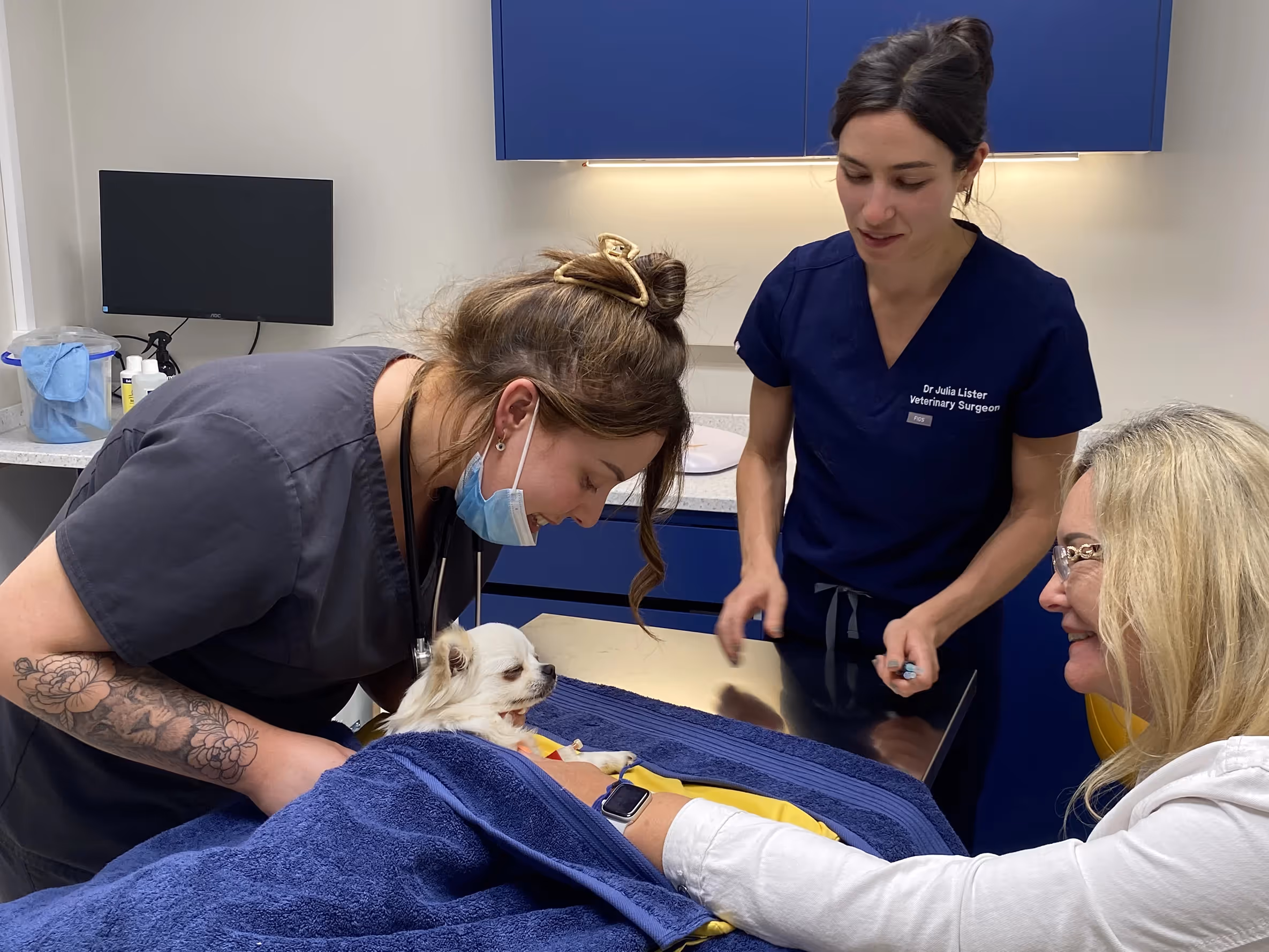 The operating theatre at Hello Vet