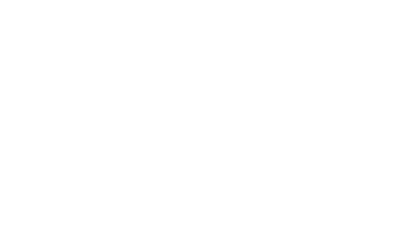 bol.com company logo