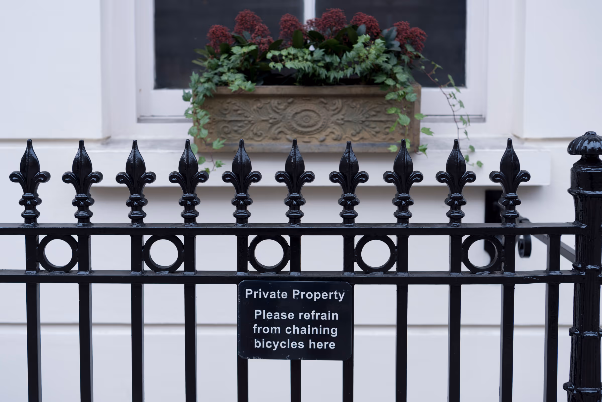 Black railings in front of a window with a planted window box