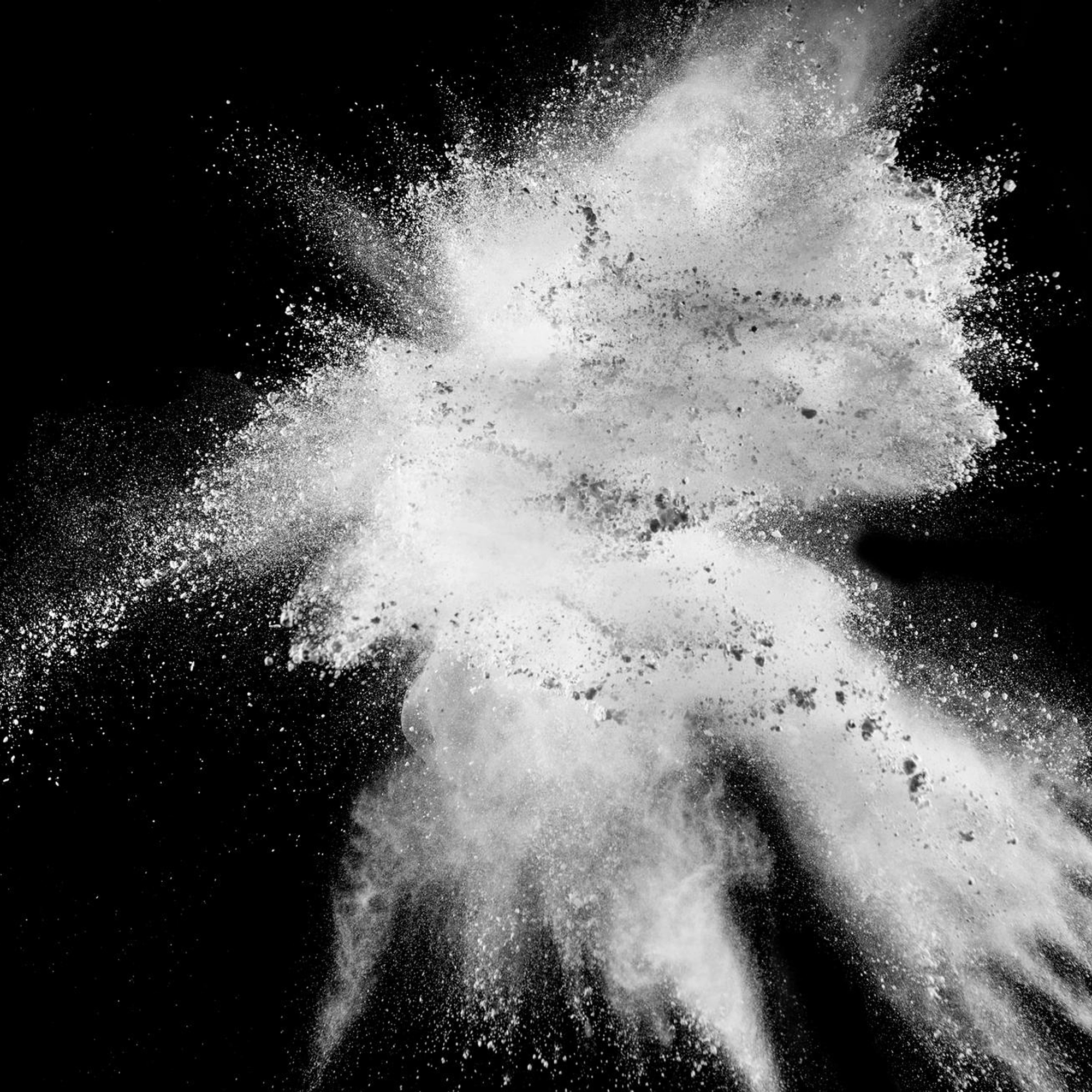 Creatine Explained: Why Purity and Particle Size Matter