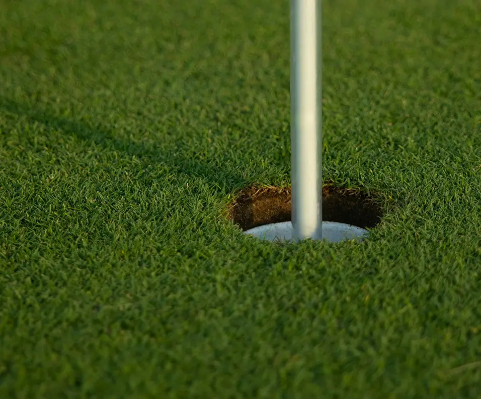 Een golfbaanhole met een vlaggenstok in het midden, omgeven door groen gras.