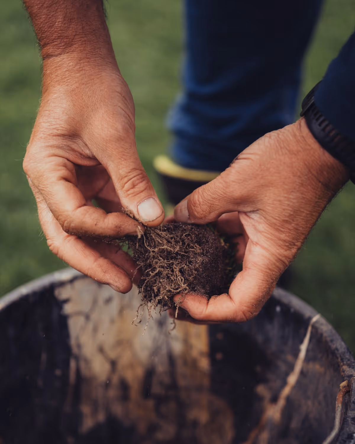 Twee handen houden een klompje aarde met wortels boven een emmer buiten.