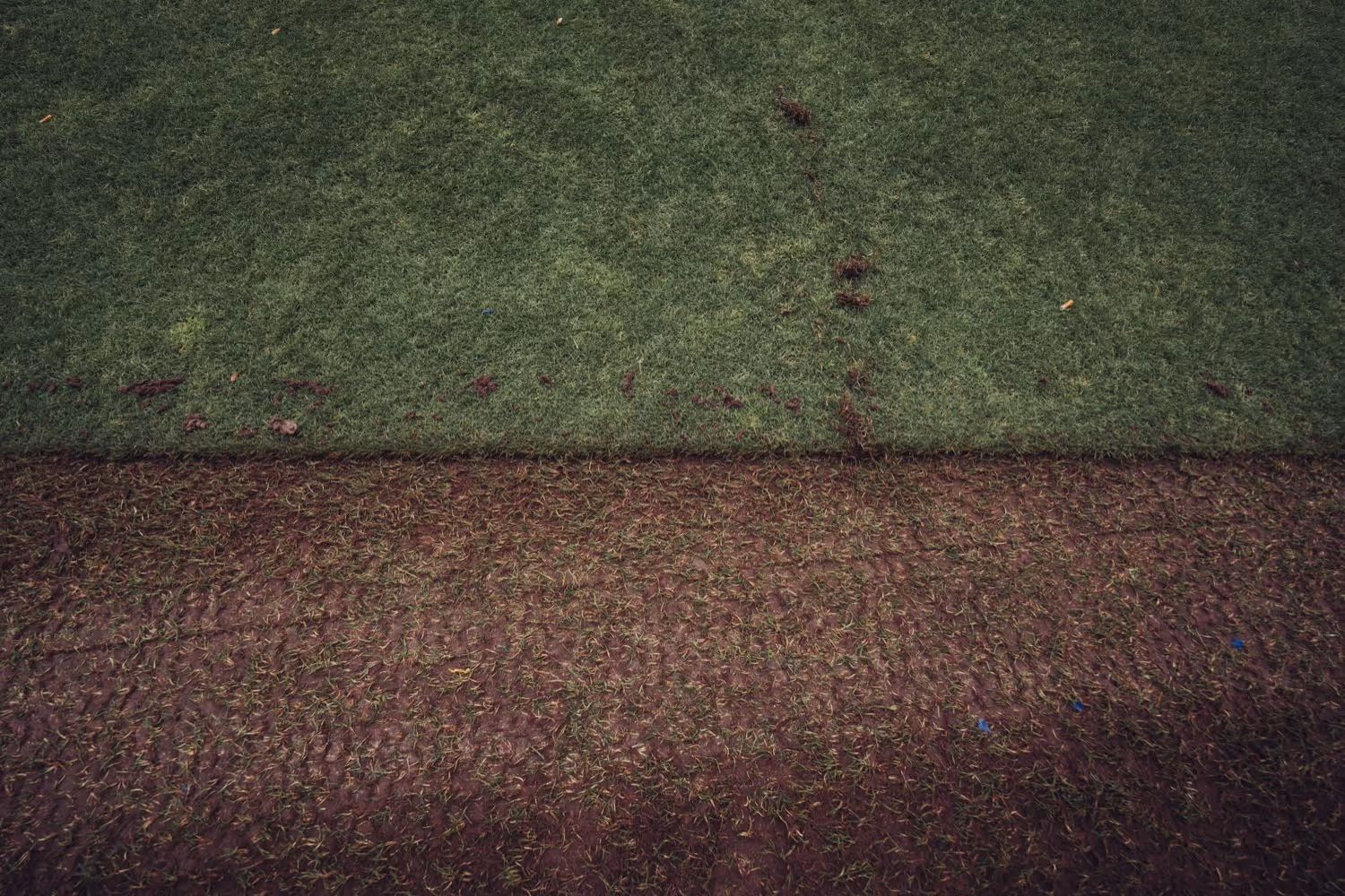 Een grasveld met een nette rol lijn waar het gras vers is bezaaid bovenop een bruine, kale grond.