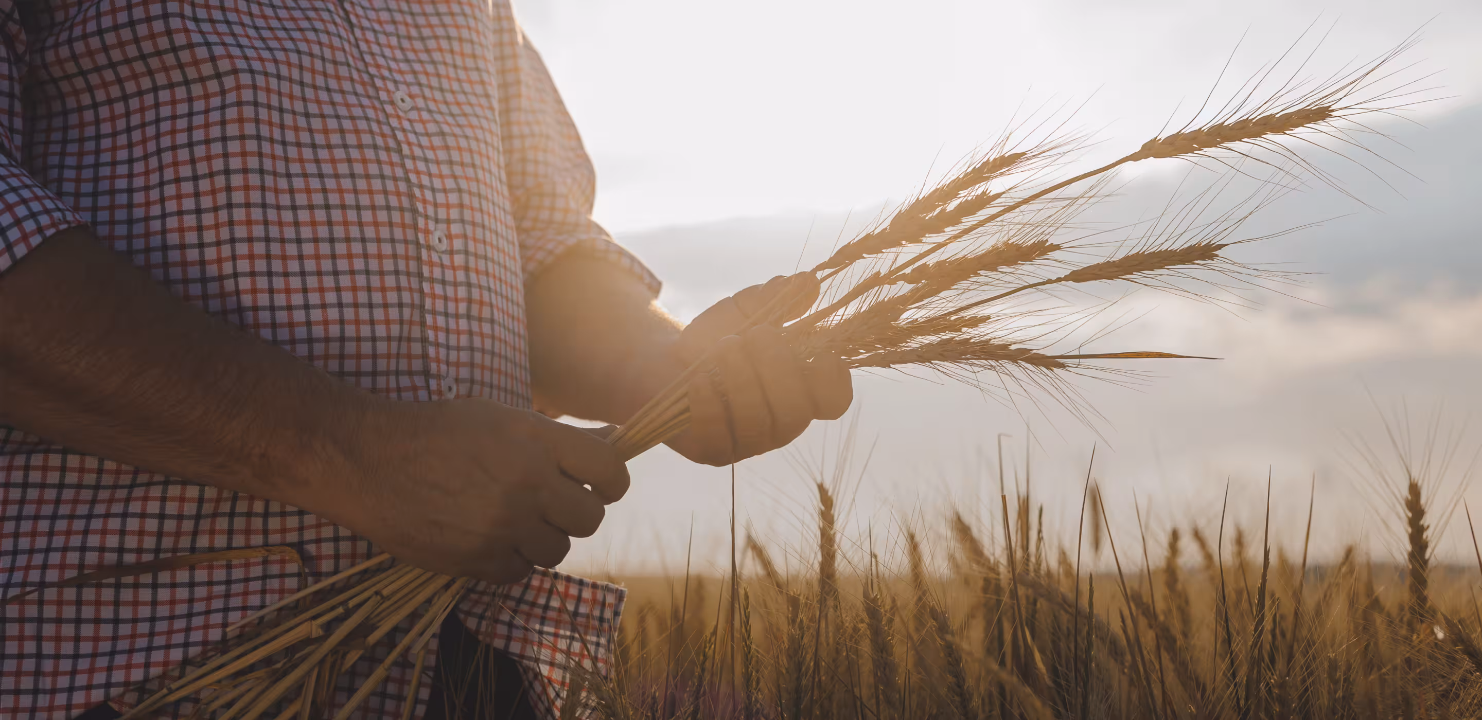 Australian Maltsters since 1858