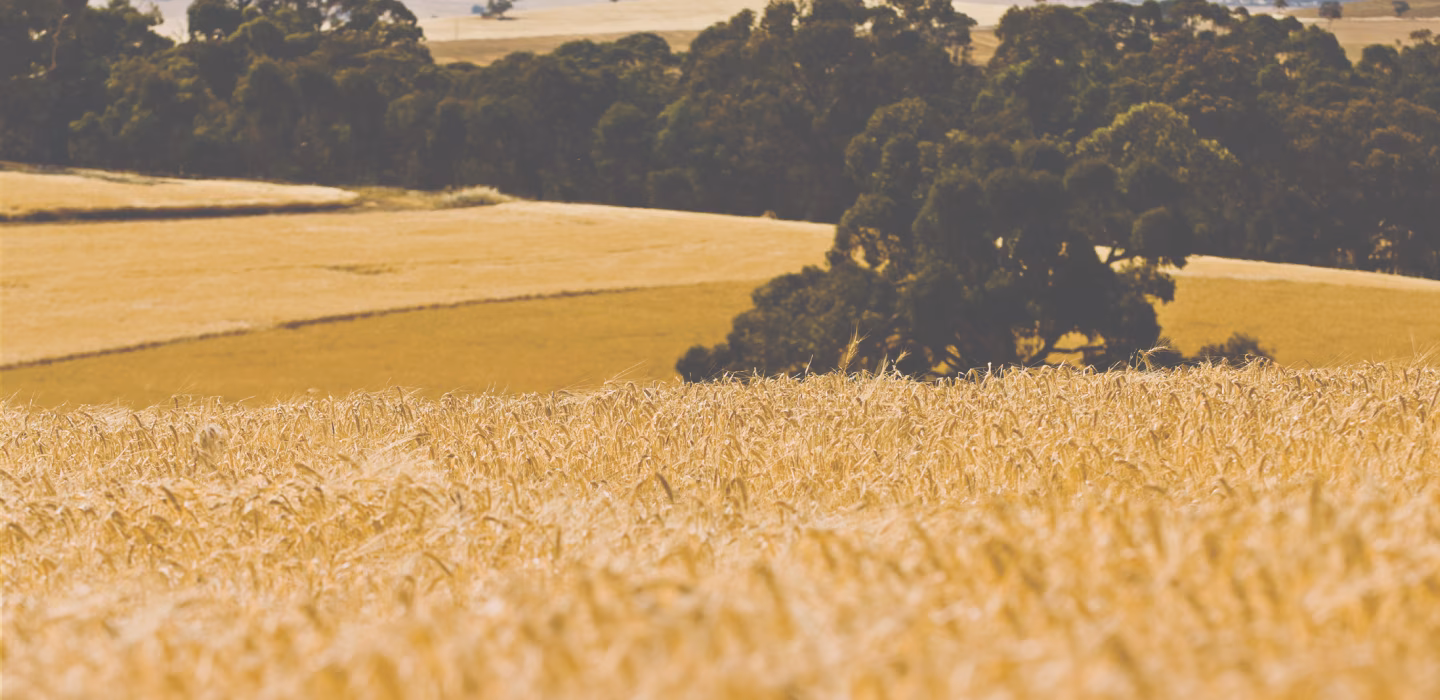 From local farms to local malt houses — 100% Australian malt