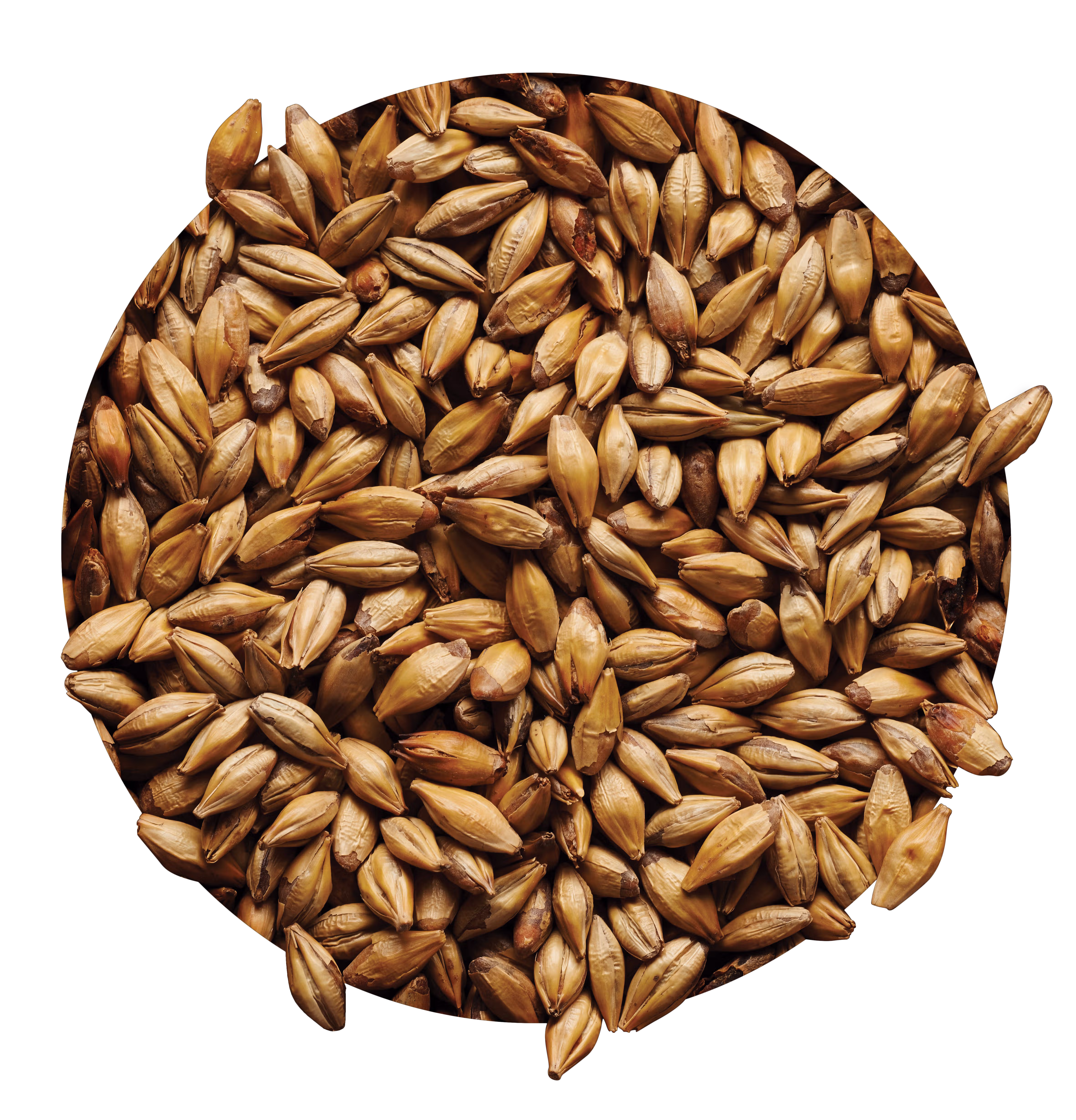 Cara Malt