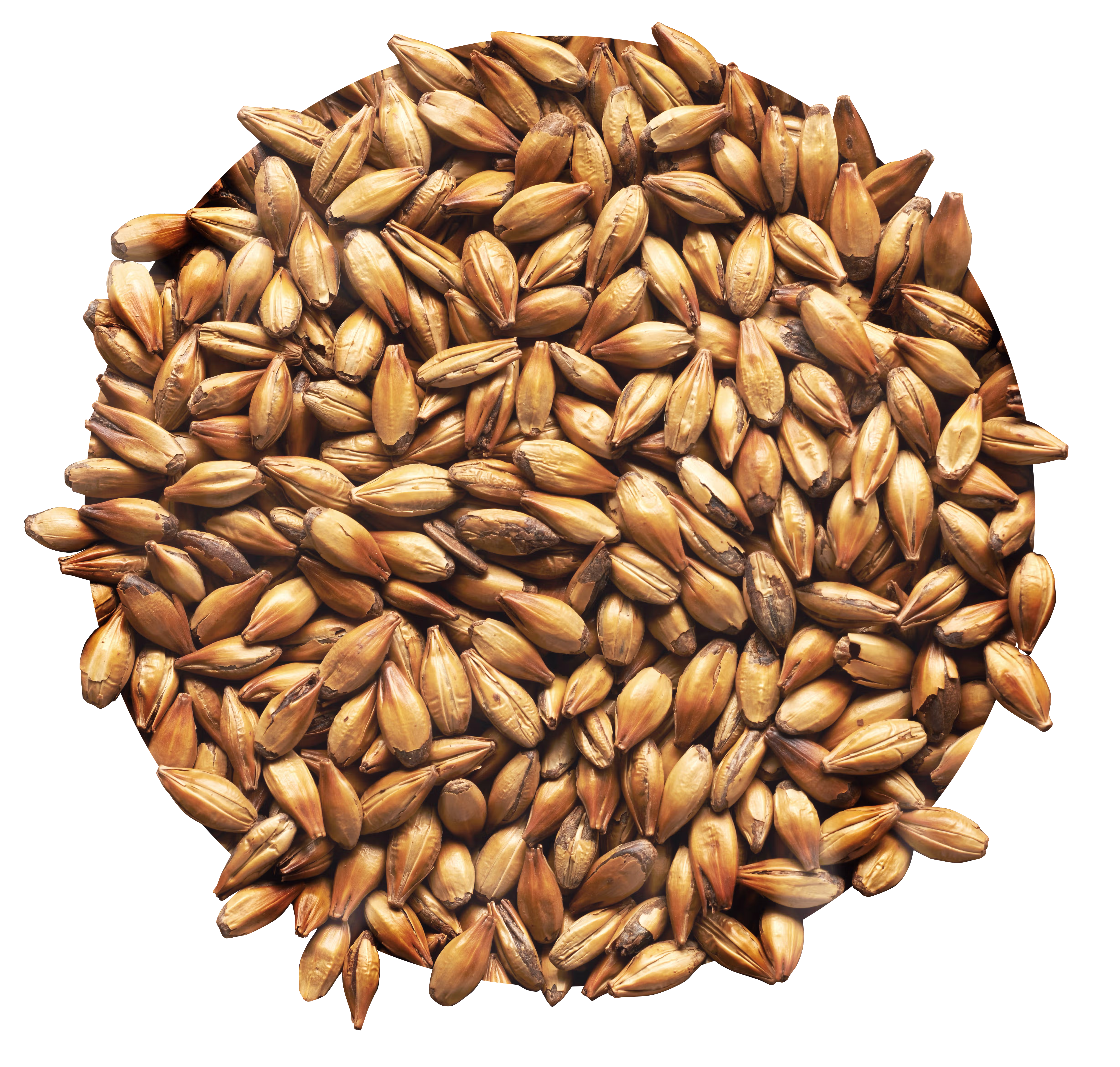 Medium Crystal Malt