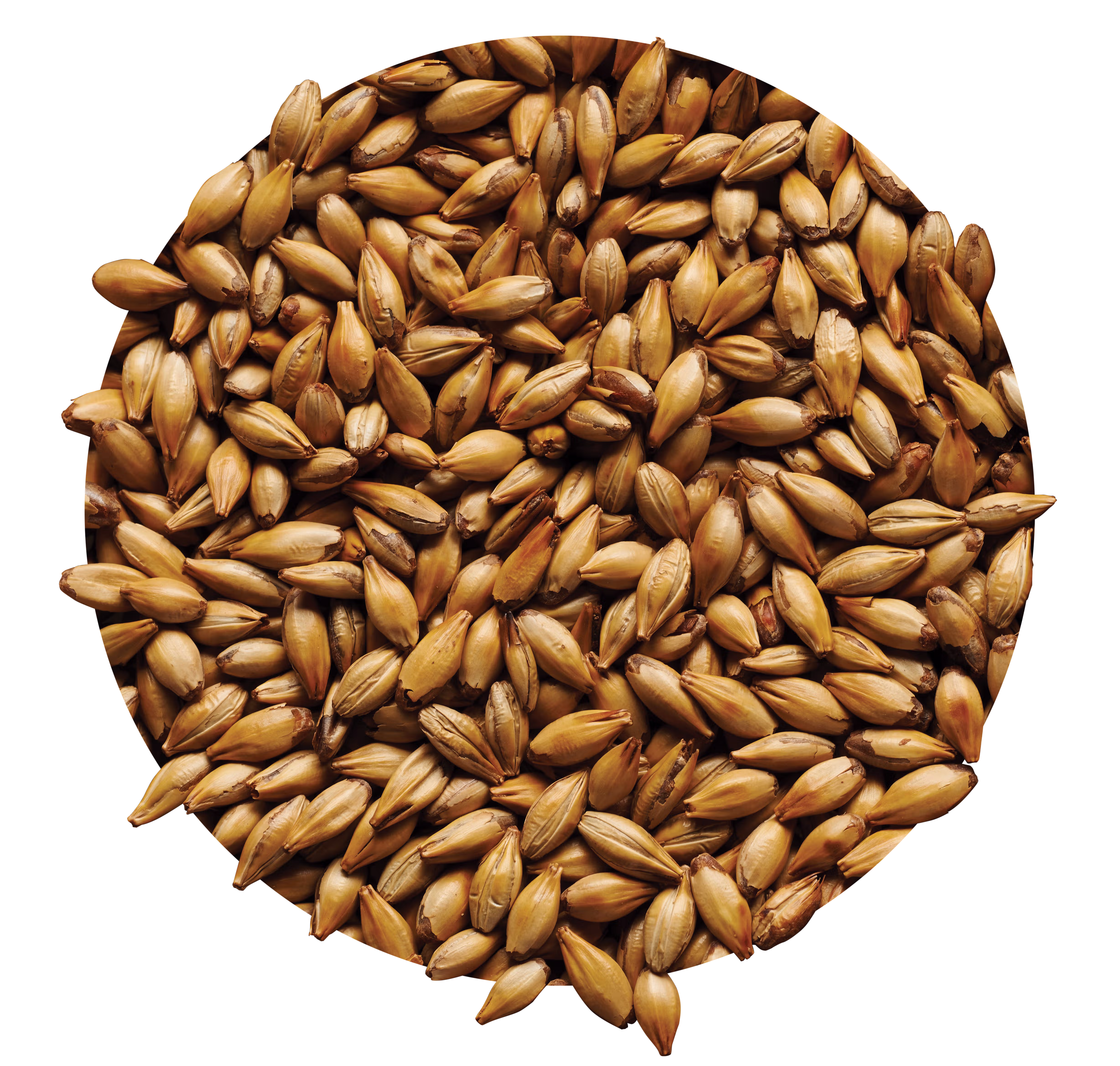 Light Crystal Malt