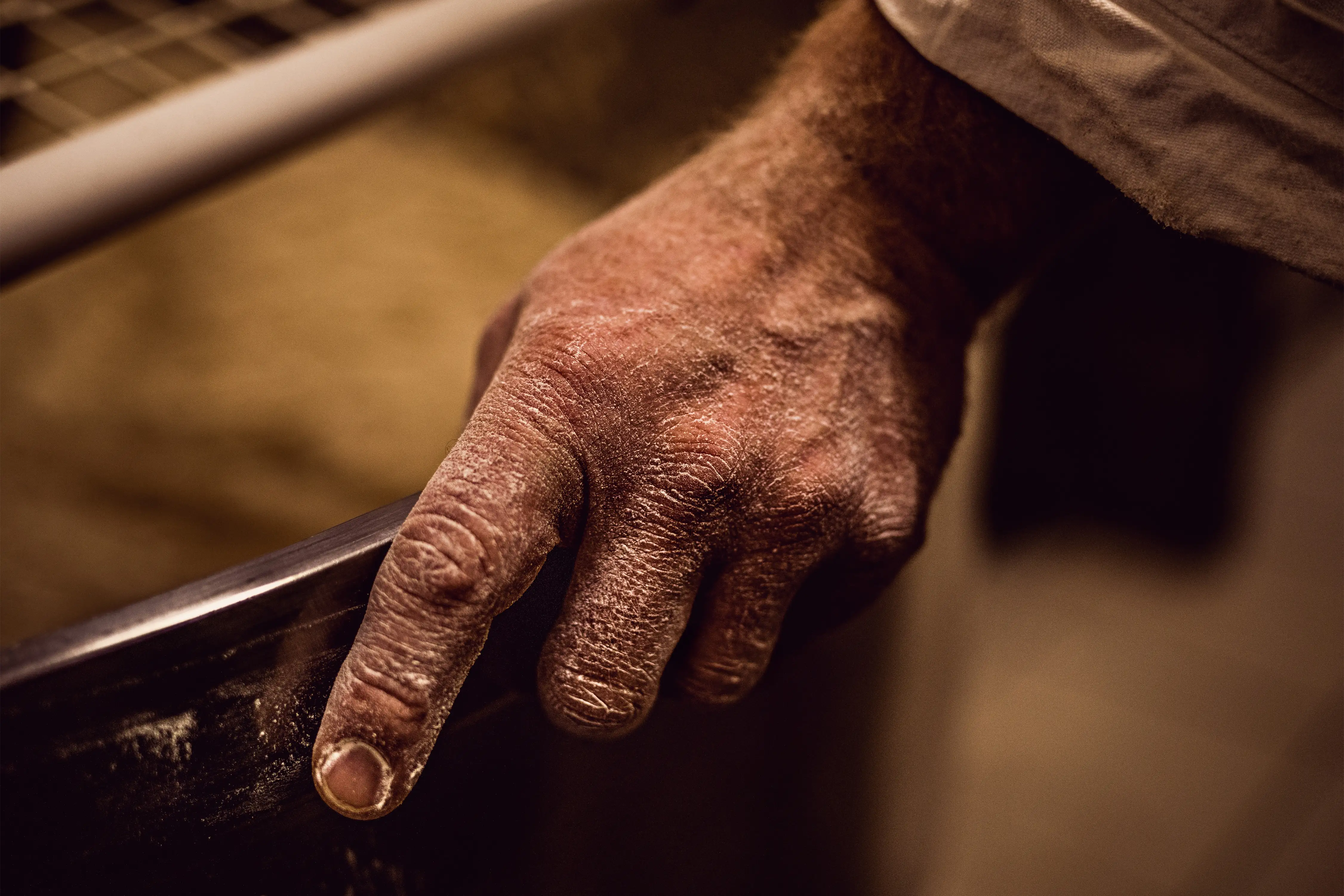 Craftsman's hand covered with flour placed on the edge of a kneader.