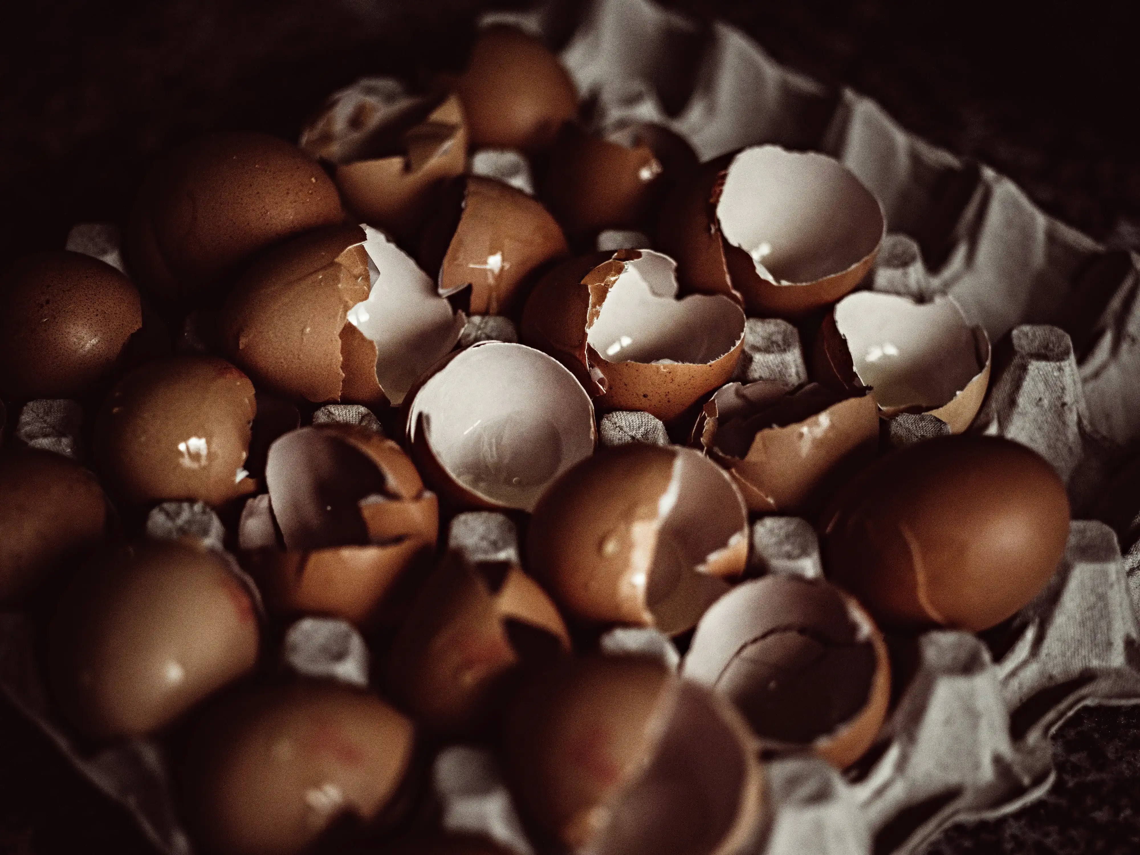 Broken eggshells in a cardboard box, testifying to a preparation in progress in the bakery workshop.