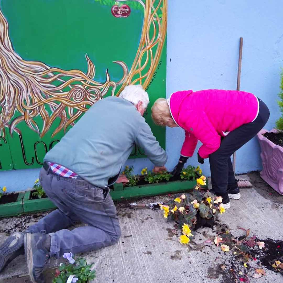 Kilmeedy Tidy Towns planting flowers in Kilmeedy 2024