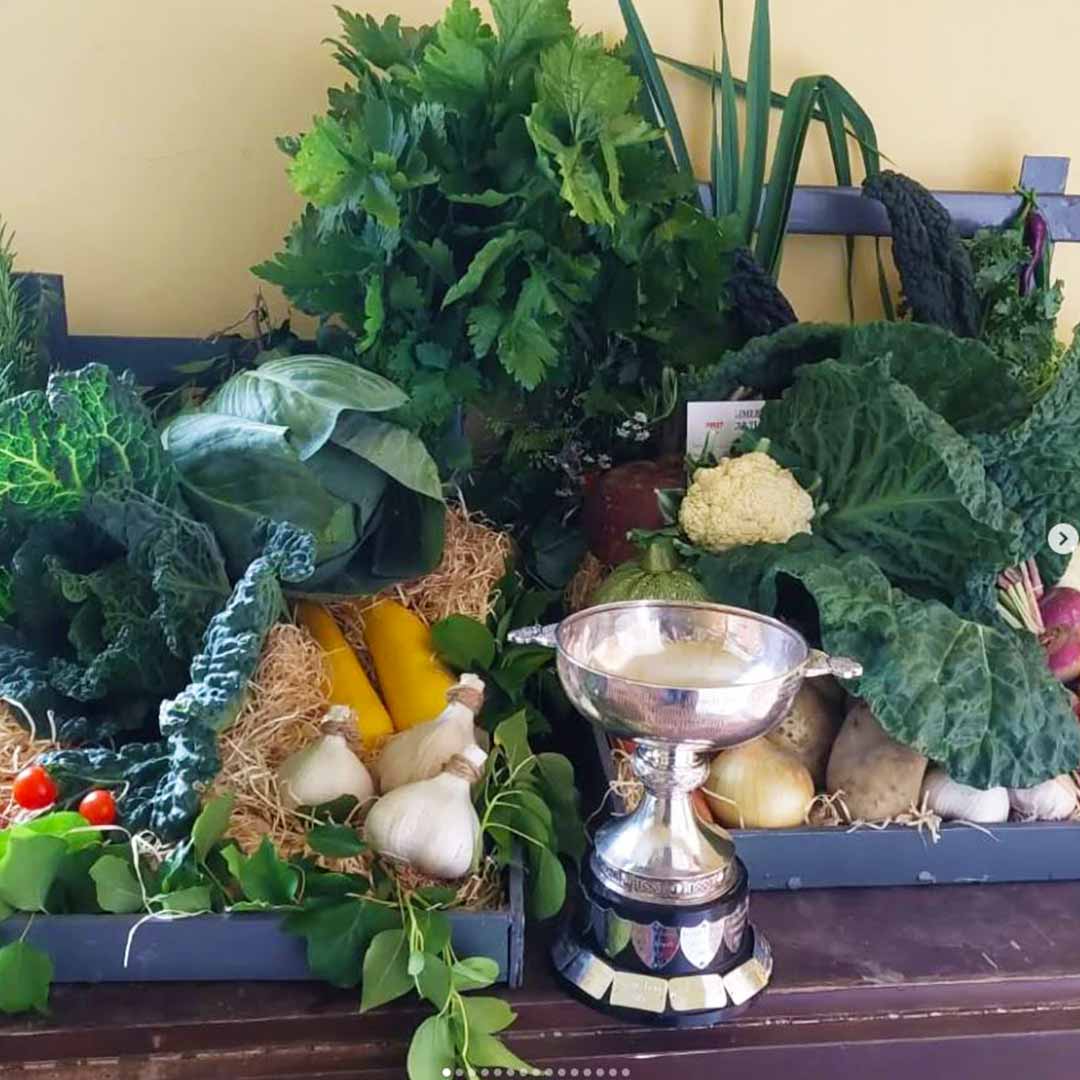 Kilmeedy Homegrown winning awards