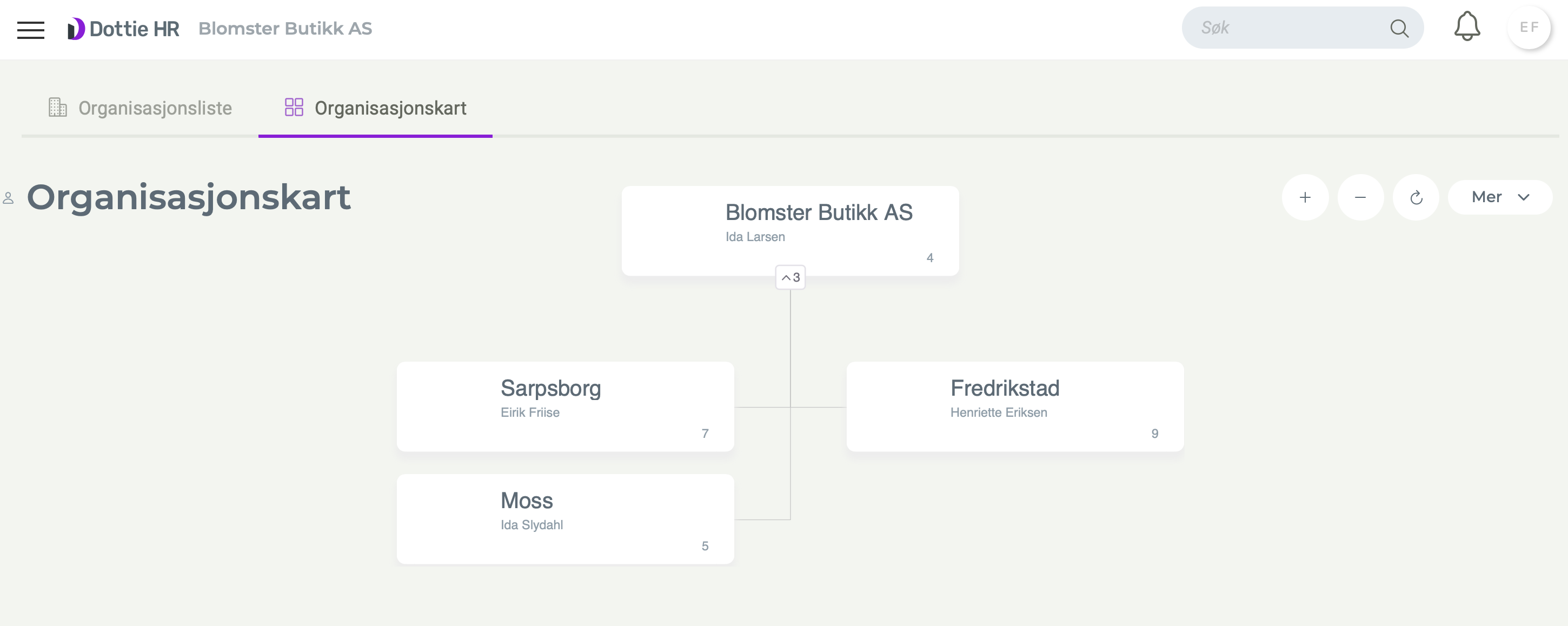 Dottie HR - Organisasjon, organisasjonskart