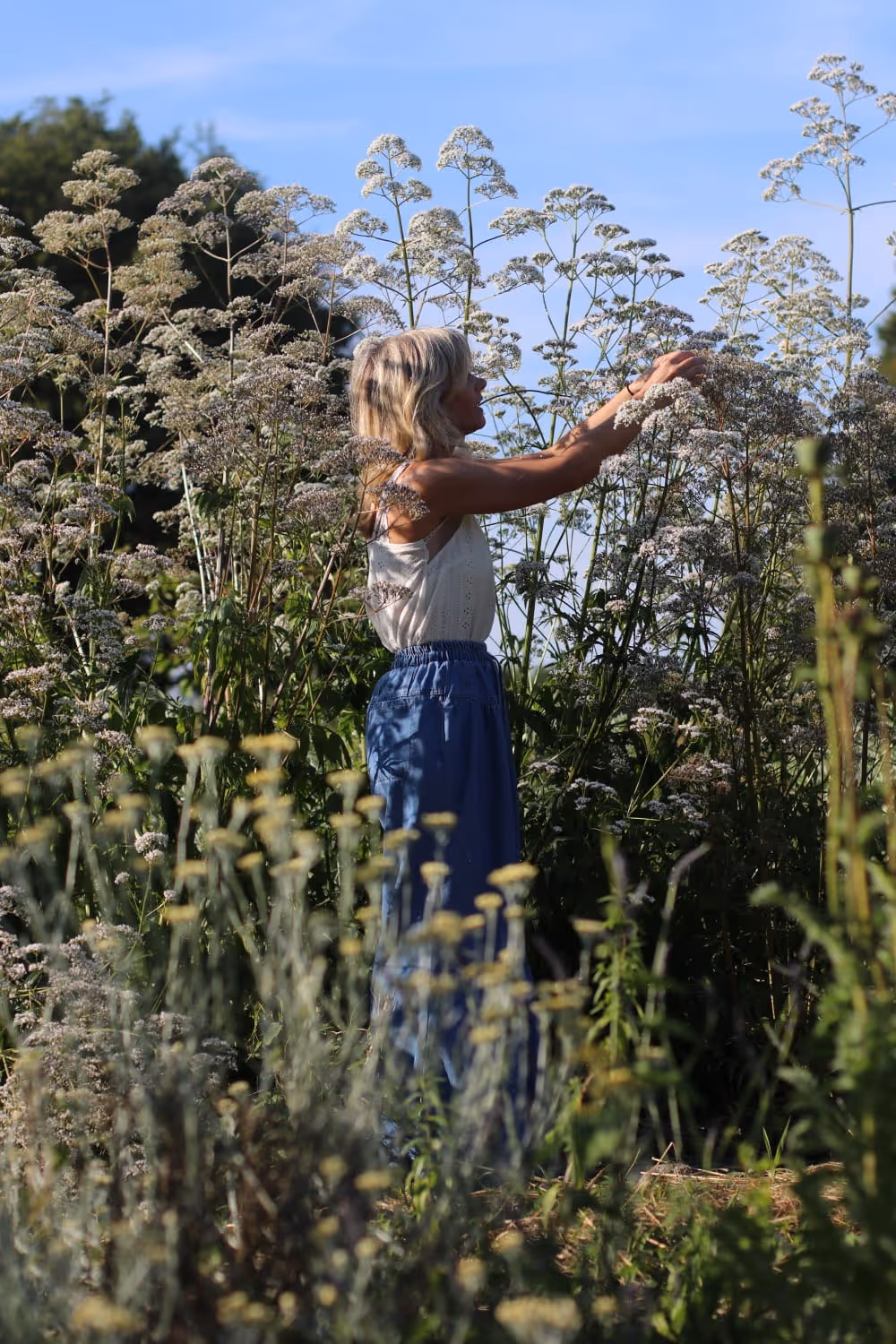 Elodie morel herboriste Abbaretz