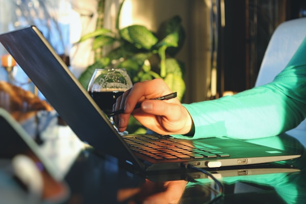 Young professionnal using a touchscreen laptop with his stylus with a bright sunny light and plants in the background.