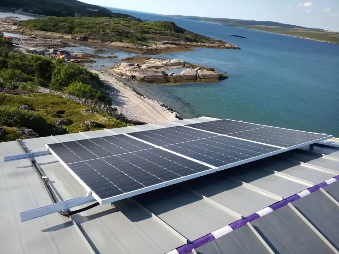 Глэмпинг-парк “Китовый берег” за Полярным кругом, Мурманская область - фото 3