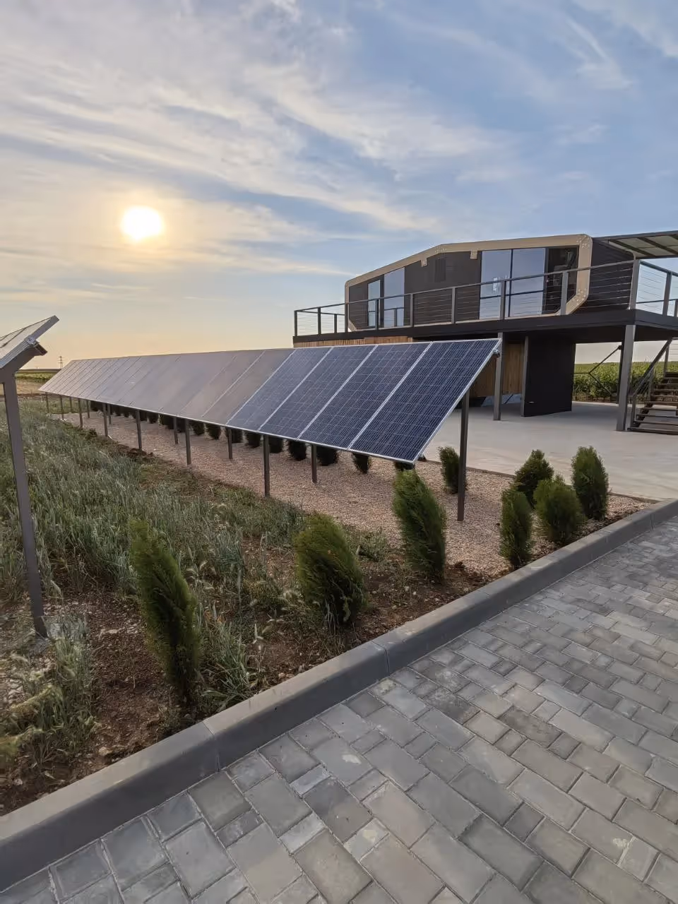 Виноградная ферма в южном регионе России - фото 1