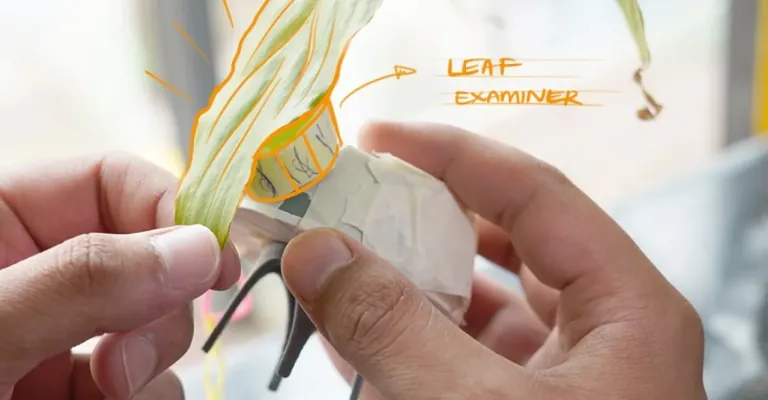 Paper Prototype For Leaf Examiner Hardware Product