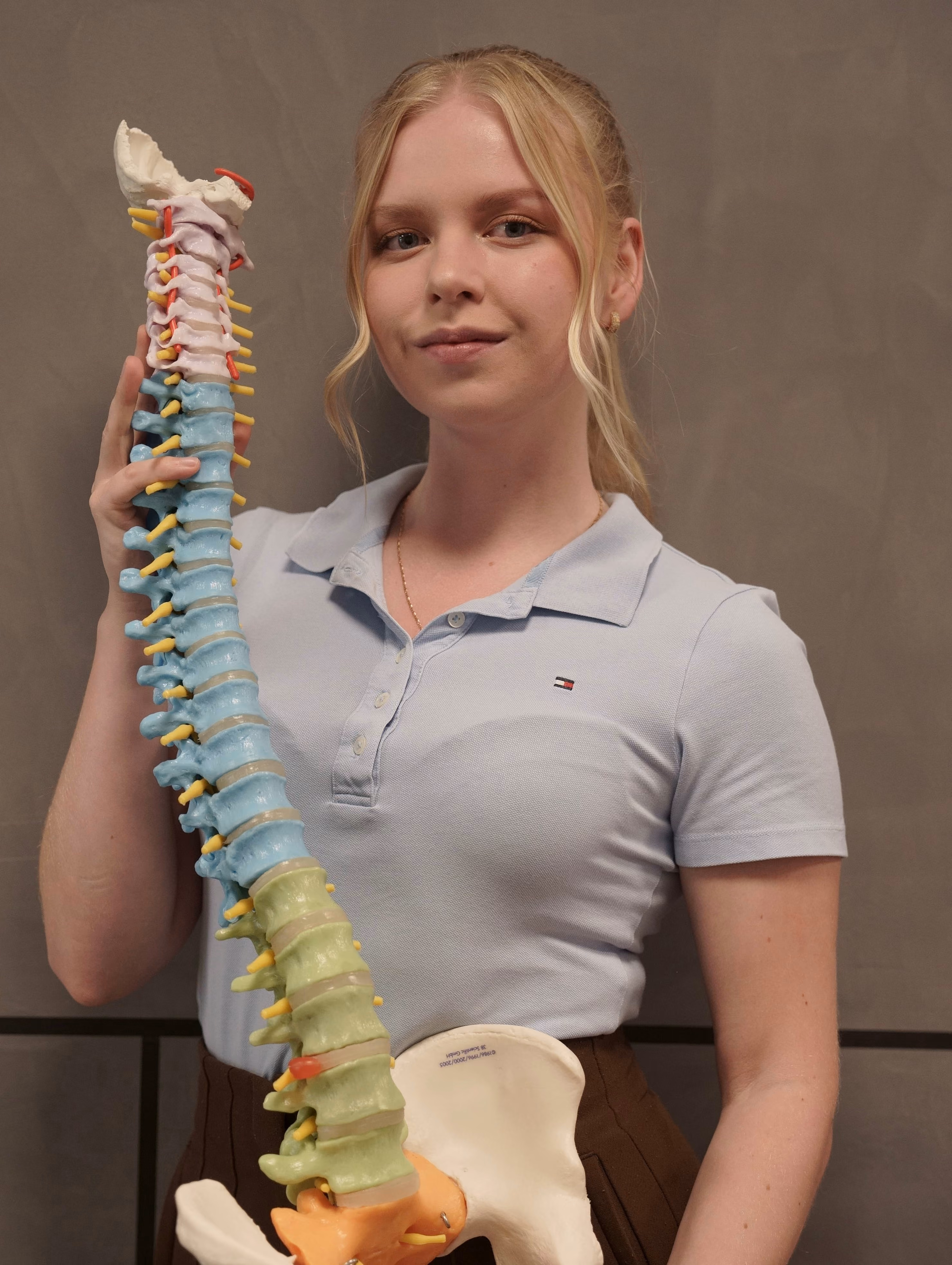 Junge Frau hält ein mehrfarbiges Modell der menschlichen Wirbelsäule mit Beckenknochen.