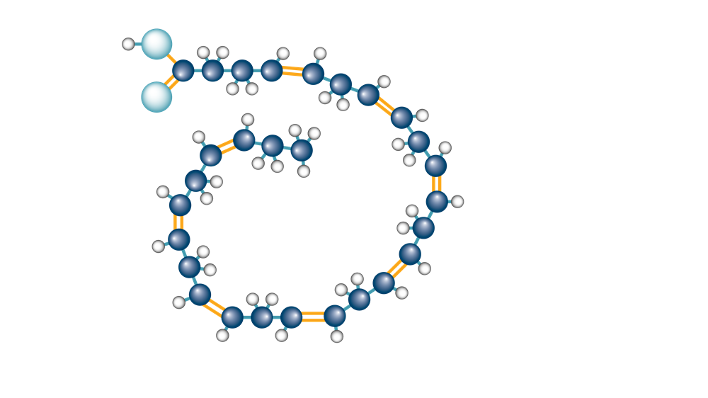 VLC-PUFA C28_8 as FFA_final.png