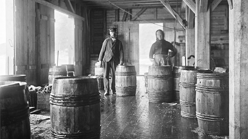 Image of worker making cod liver oil in the old days