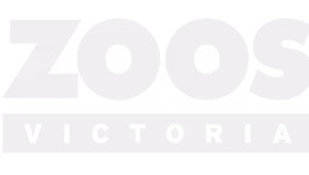 Zoos