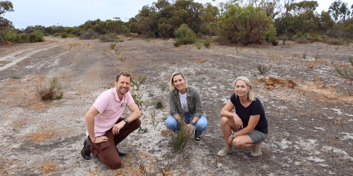 Man in pink shirt, woman in green jacket and woman in black tshirt crouching down in a arrid landscape with a small sapling.