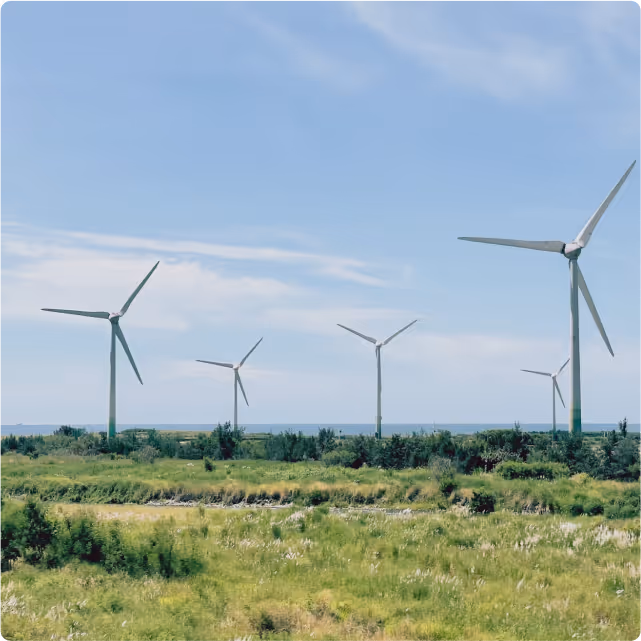 Australian Sustainability Reporting Standards (ASRS) Explained