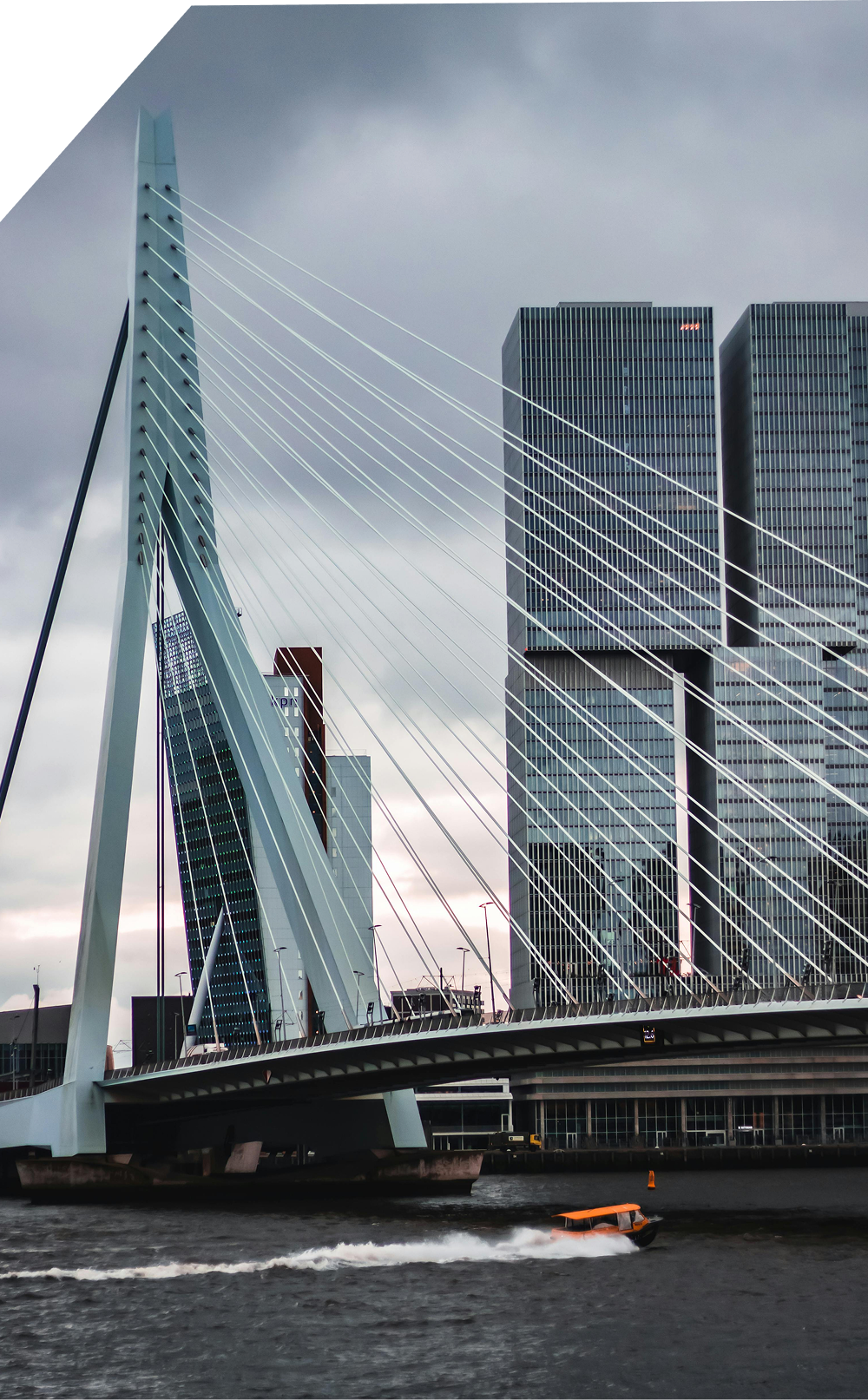 Prachtige foto van de Erasmusbrug in Rotterdam