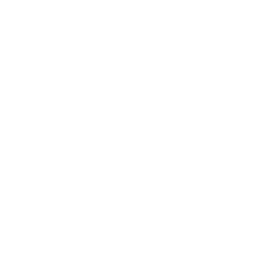 Momentum Training Club