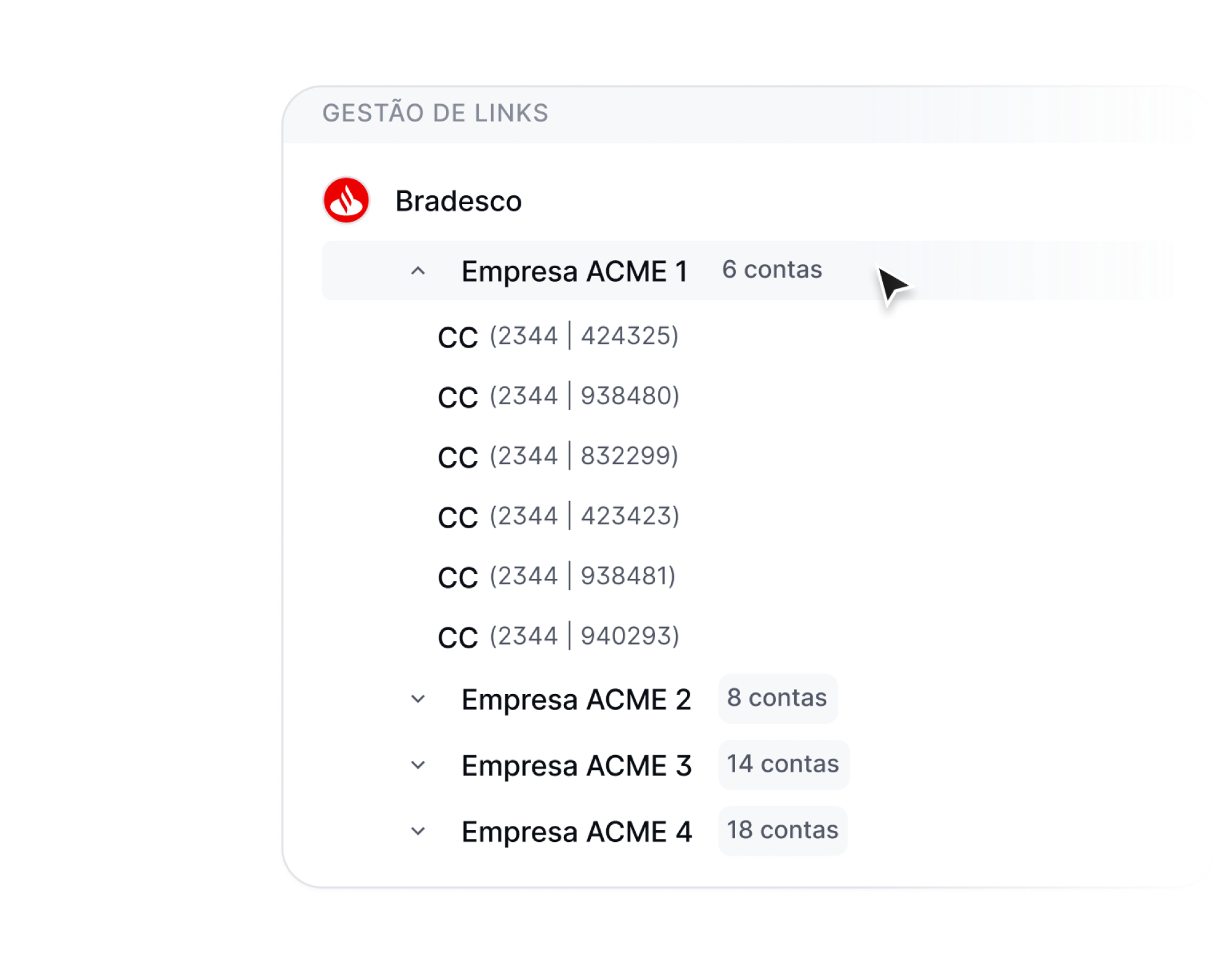 Uma conexão, múltiplos CNPJs e contas.