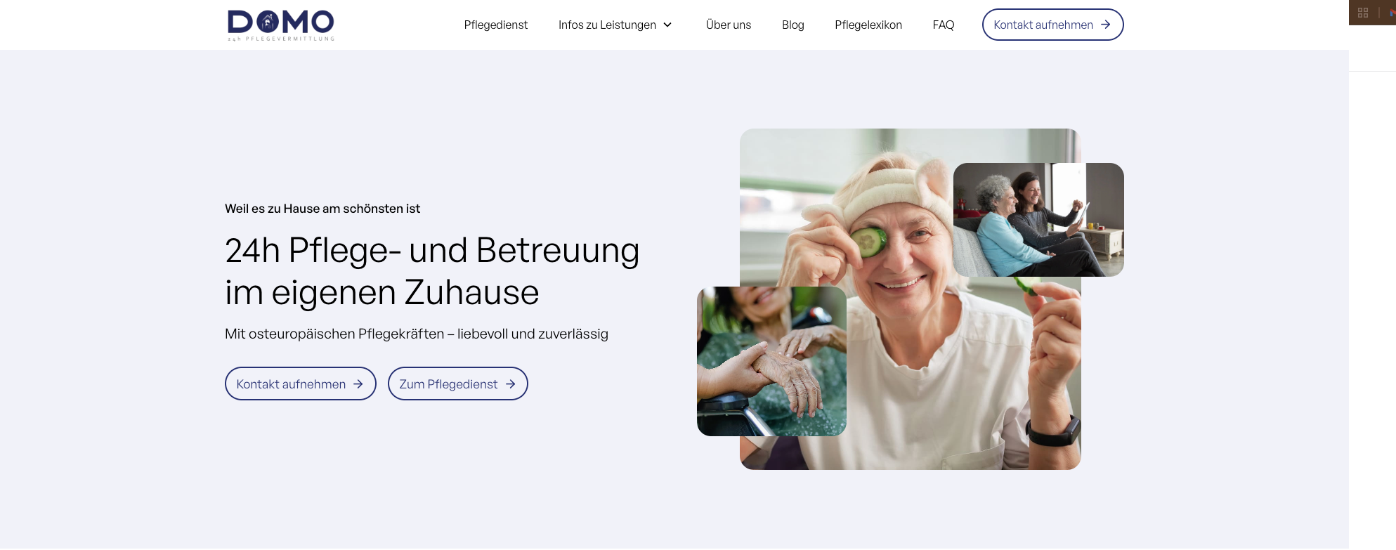 Garten mit Pool im Rhein Neckar Kreis