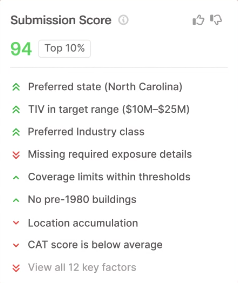 Submission Score and Details