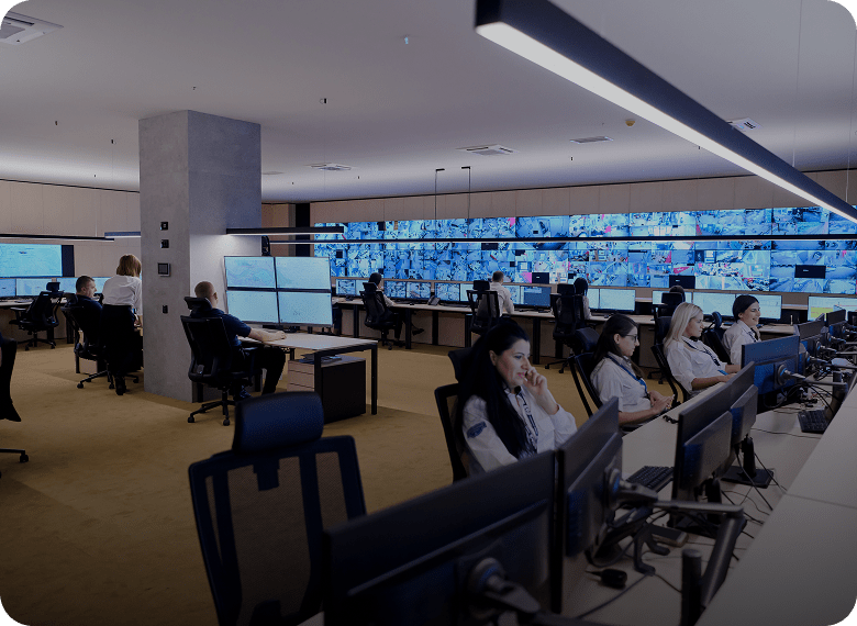 A visual element representing audio systems with an icon and text label.