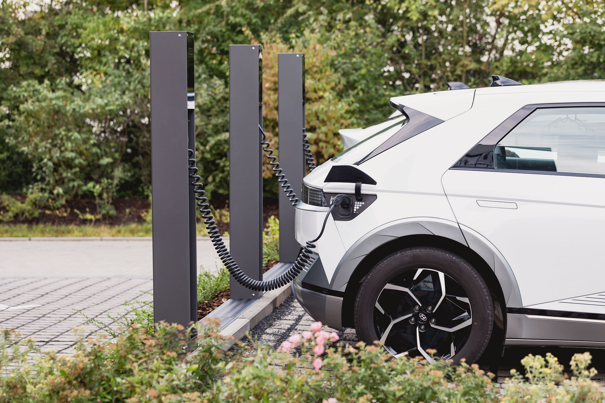 A nice and moody background image.