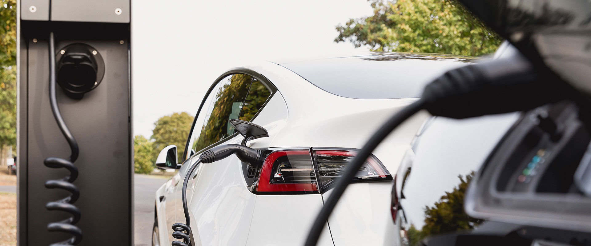 A nice and moody background image.