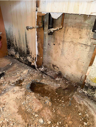 Black mold on an exposed wall cavity and plumbing after flooring and drywall removal