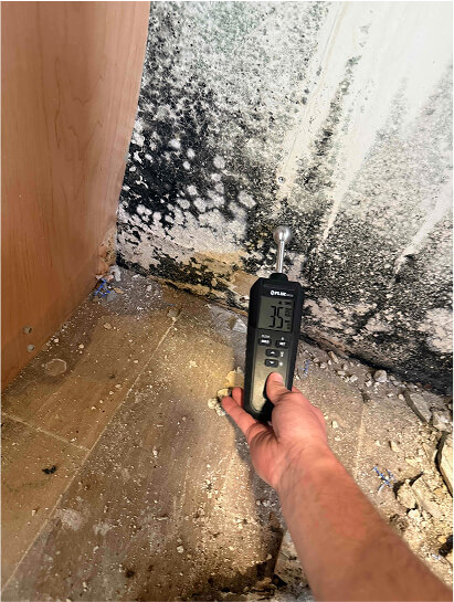 Moisture meter reading taken on a wall covered in black mold