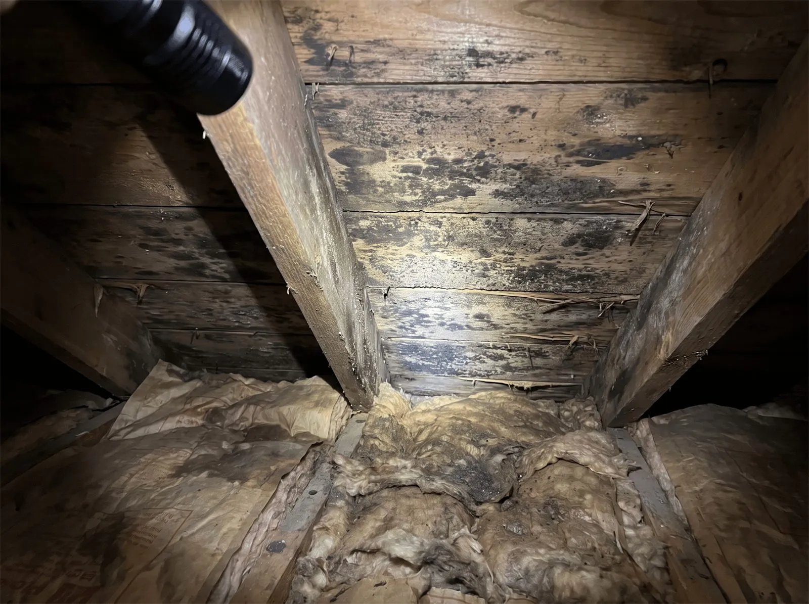 Dark mold growth on attic roof sheathing above water-stained insulation, lit by a flashlight