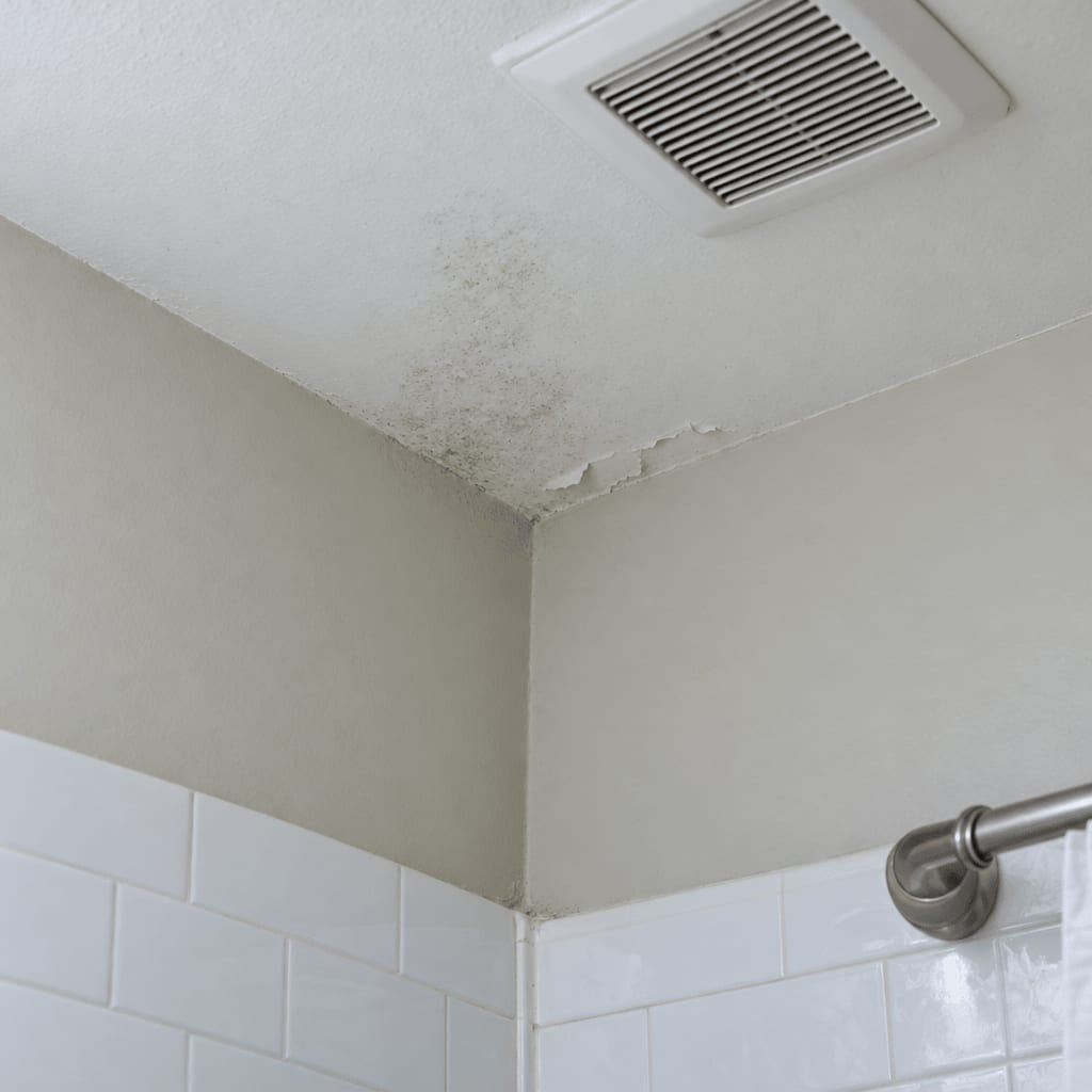 Faint gray mold spotting and peeling paint in a bathroom ceiling corner above a tiled shower.
