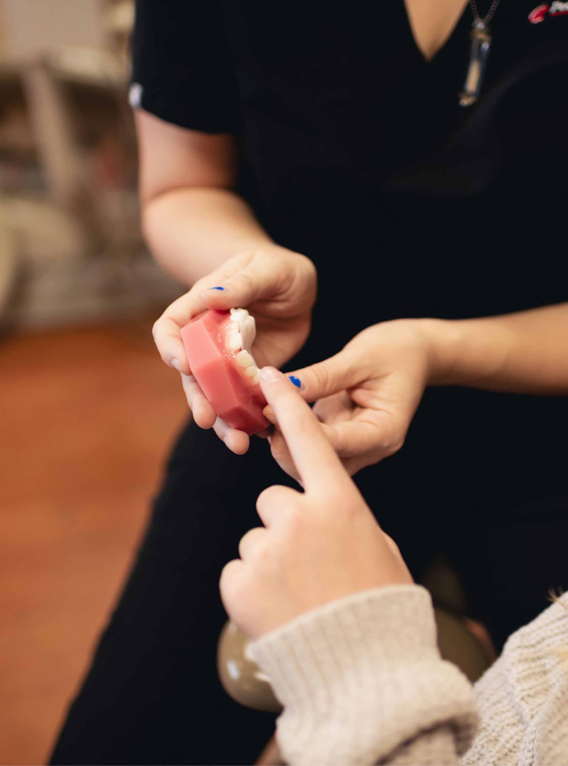 Two people examine a dental model showing a set of teeth, with one person pointing at the teeth.