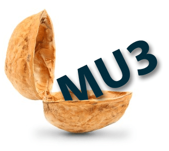 meaningful_use_3_in_a_nutshell