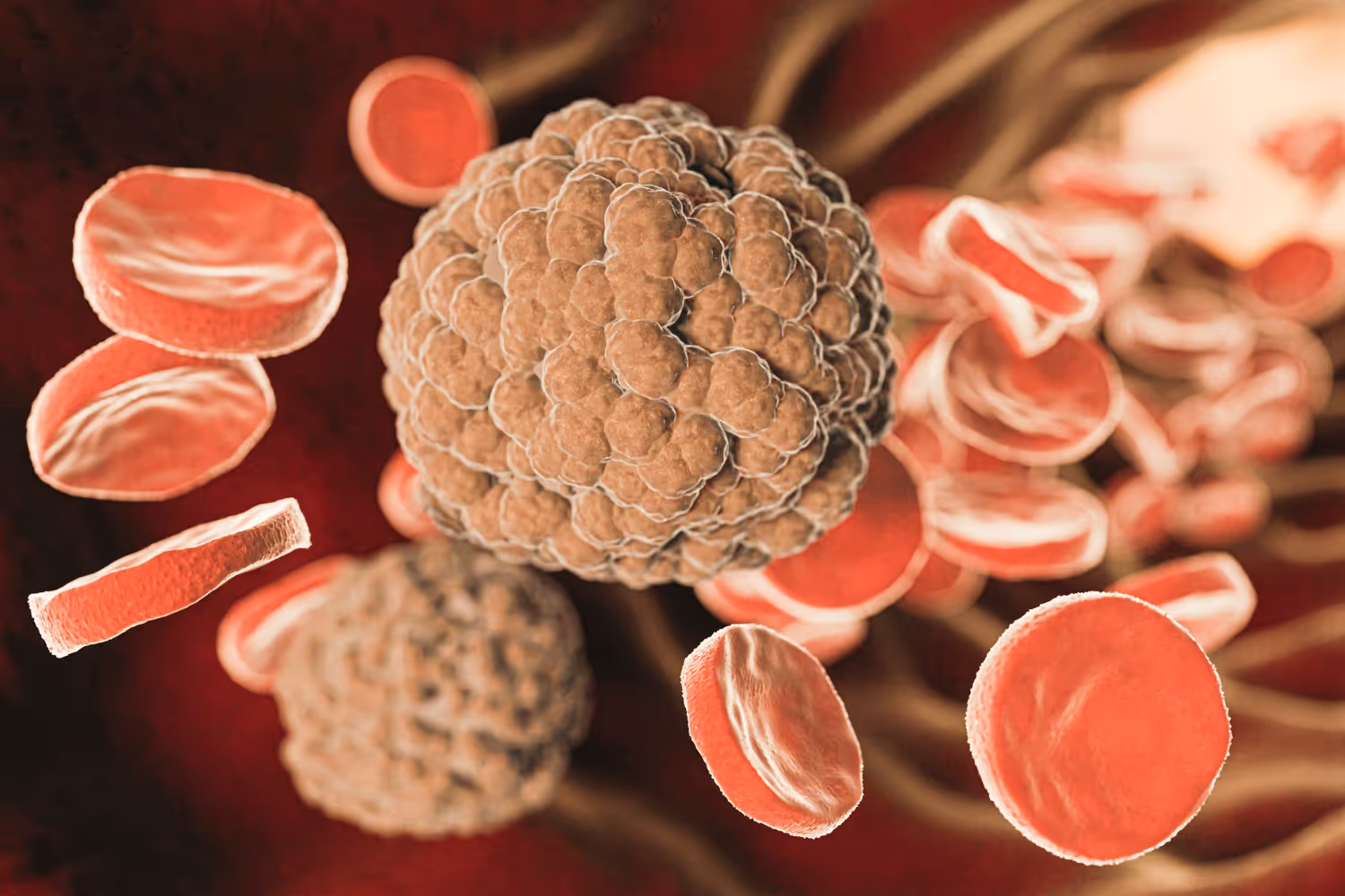 3D rendering of virus particles among red blood cells in the bloodstream.