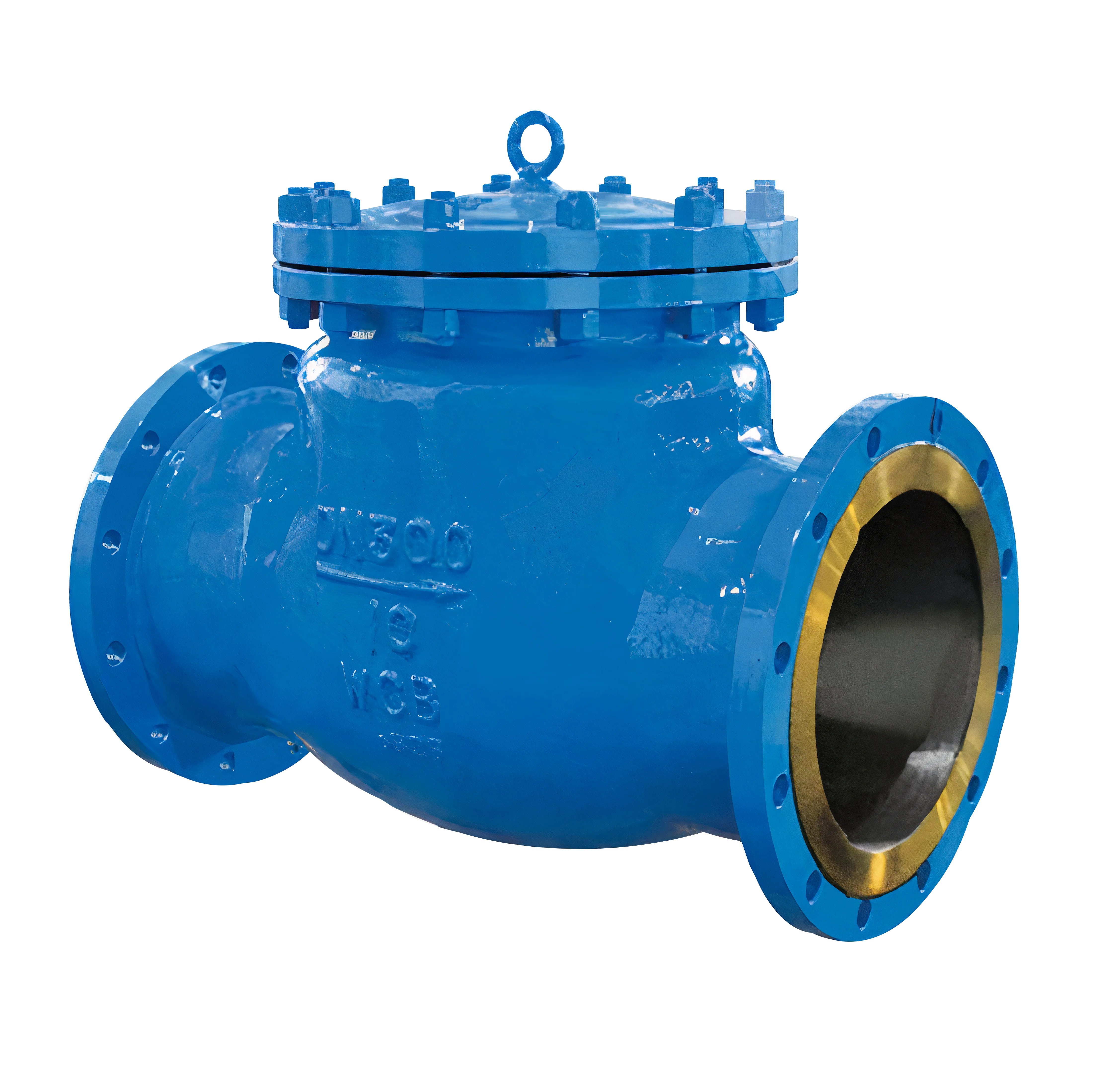 Check Valve