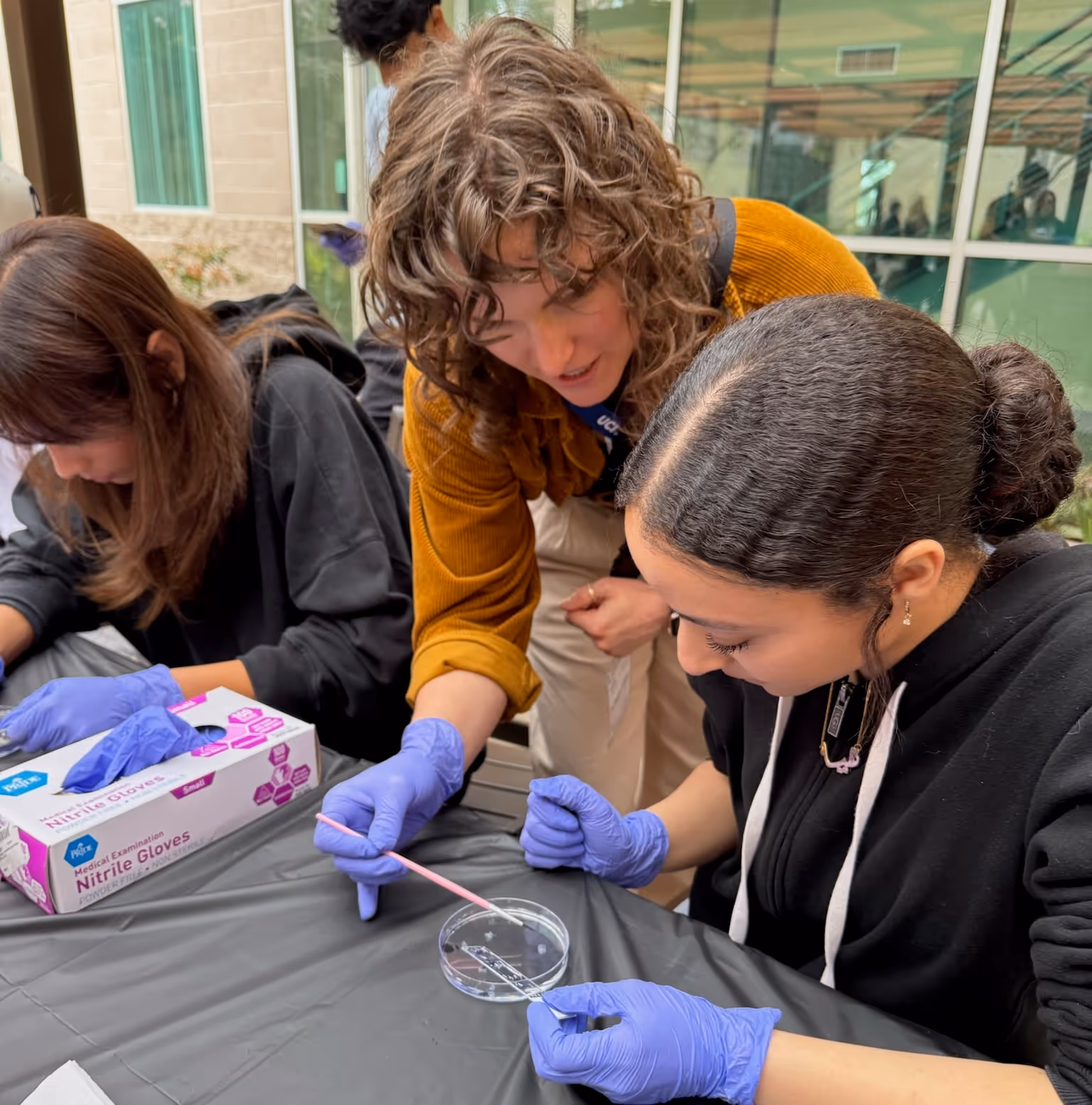 Students wearing lab gloves performing hands-on neuroscience experiment with petri dishes and scientific equipment