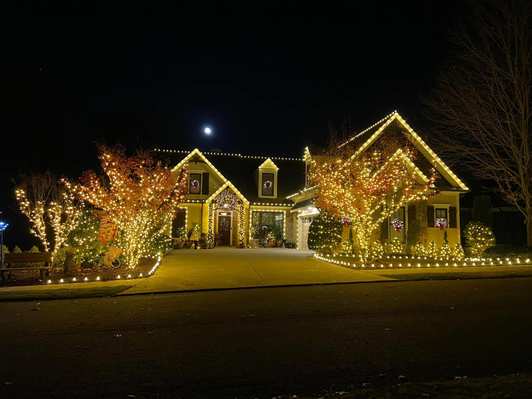 House and trees with Christmas Lights