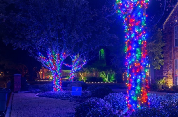 Tree wraps glowing in multi-color